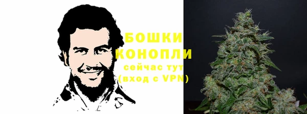 бошки Бородино